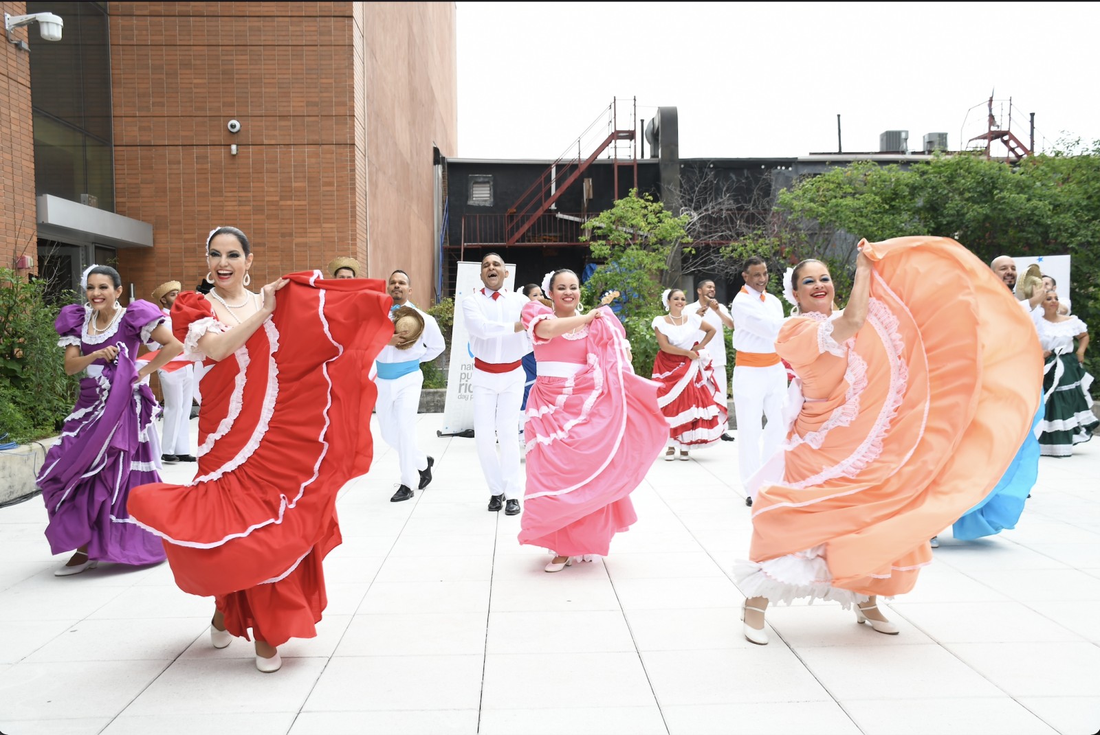 Diversity in Arts and Nations for Cultural Education, Inc. (DANCE)